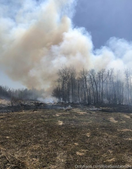 nicebassblondie xxxモデル 画像