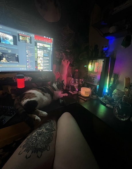 Kitty Titty ホット女優 写真