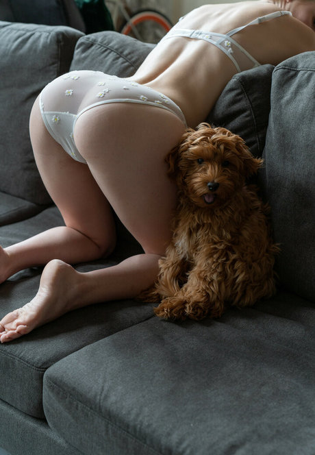 黒檀モデルオンリーファンズ セクシーxxx 画像