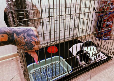 筋肉トランスオンリーファンズ 無料xxx 写真