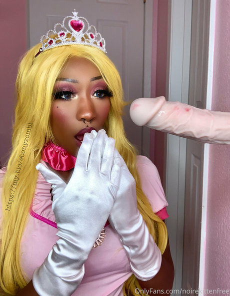 noirekittenfree 美しいスター 写真