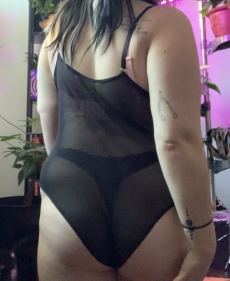 メコスジのオンリーファンズ エロチック 写真